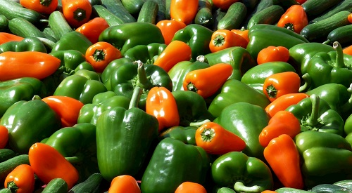 市場監(jiān)管必備儀器，食品安全檢測儀器有哪些作用