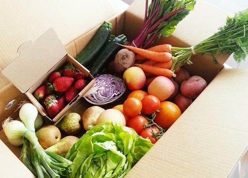 食品安全檢測(cè)儀可有效提高質(zhì)量抽檢效率，為食品安全監(jiān)督做出貢獻(xiàn)