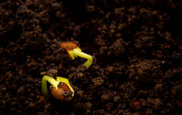 土壤研磨儀是什么？在選擇土壤研磨儀時應(yīng)該考慮哪些問題？